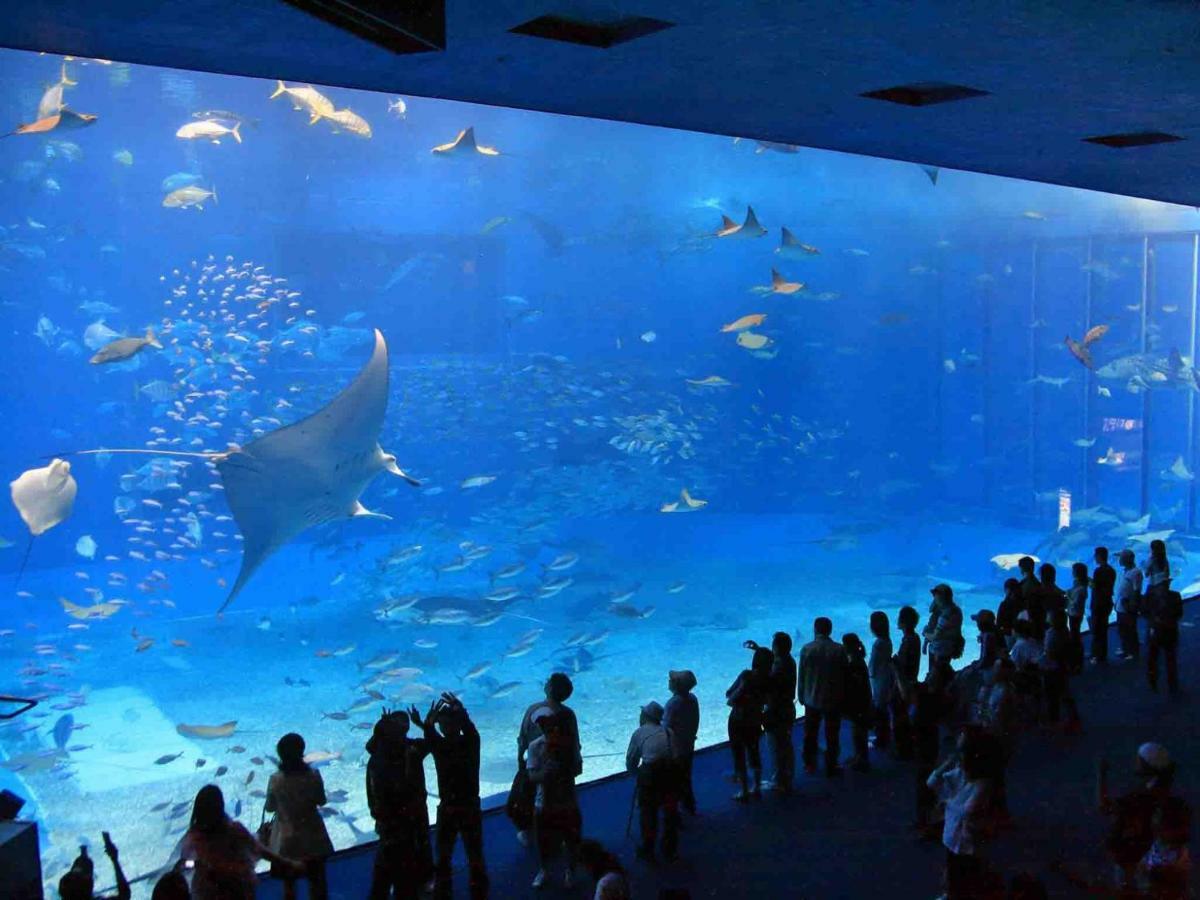 Okinawa City Hotel Dış mekan fotoğraf